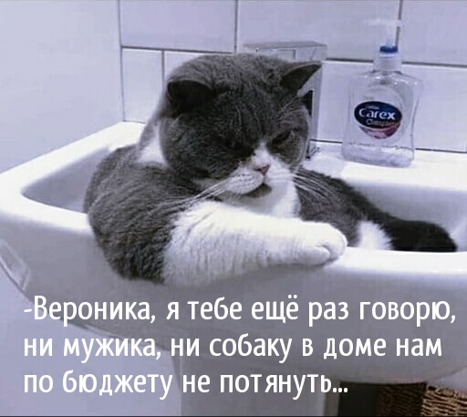 -Вероника, я тебе ещё раз говорю…