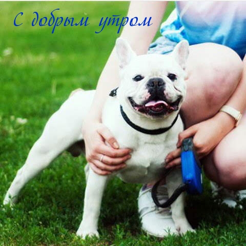 С добрым утром