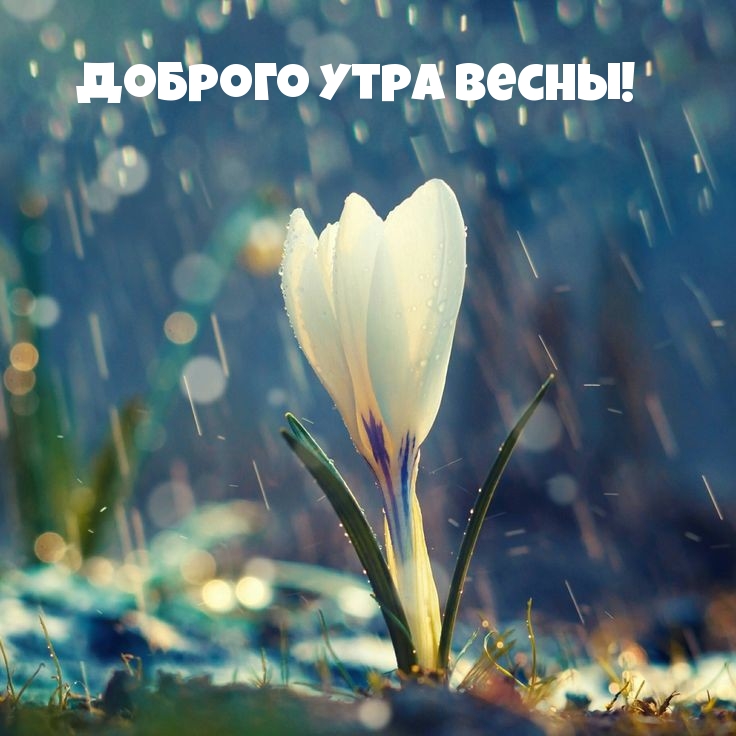Доброго утра весны!
