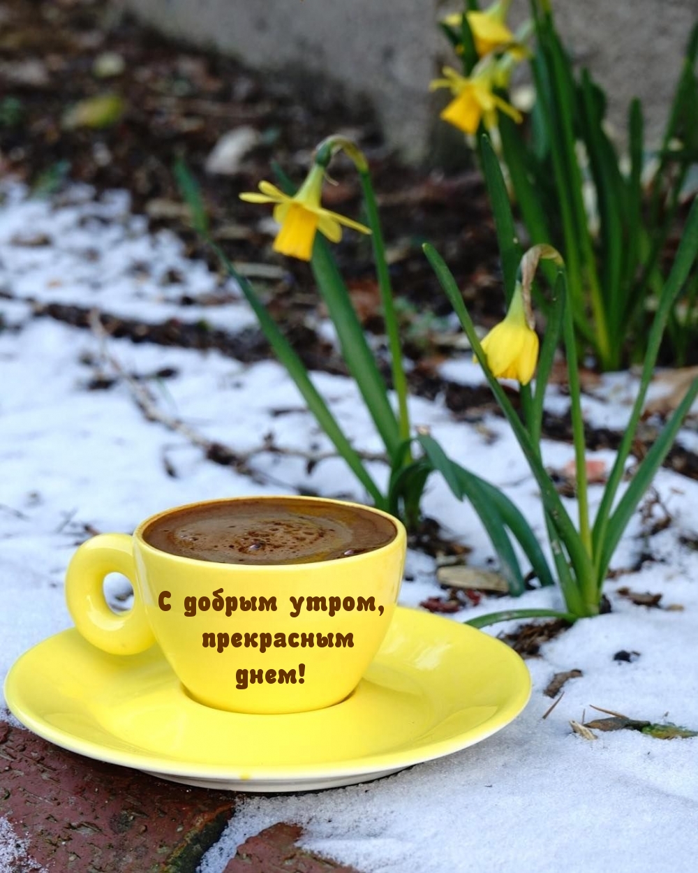 С добрым утром, прекрасным днем!