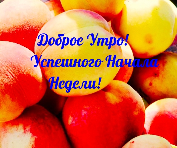 Доброе Утро! Успешного Начала Недели!