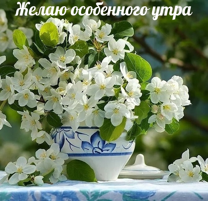 Желаю особенного утра