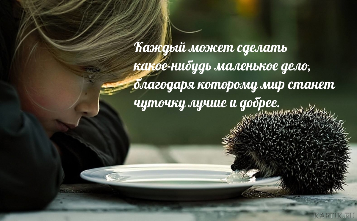 Каждый может сделать  какое-нибудь маленькое дело