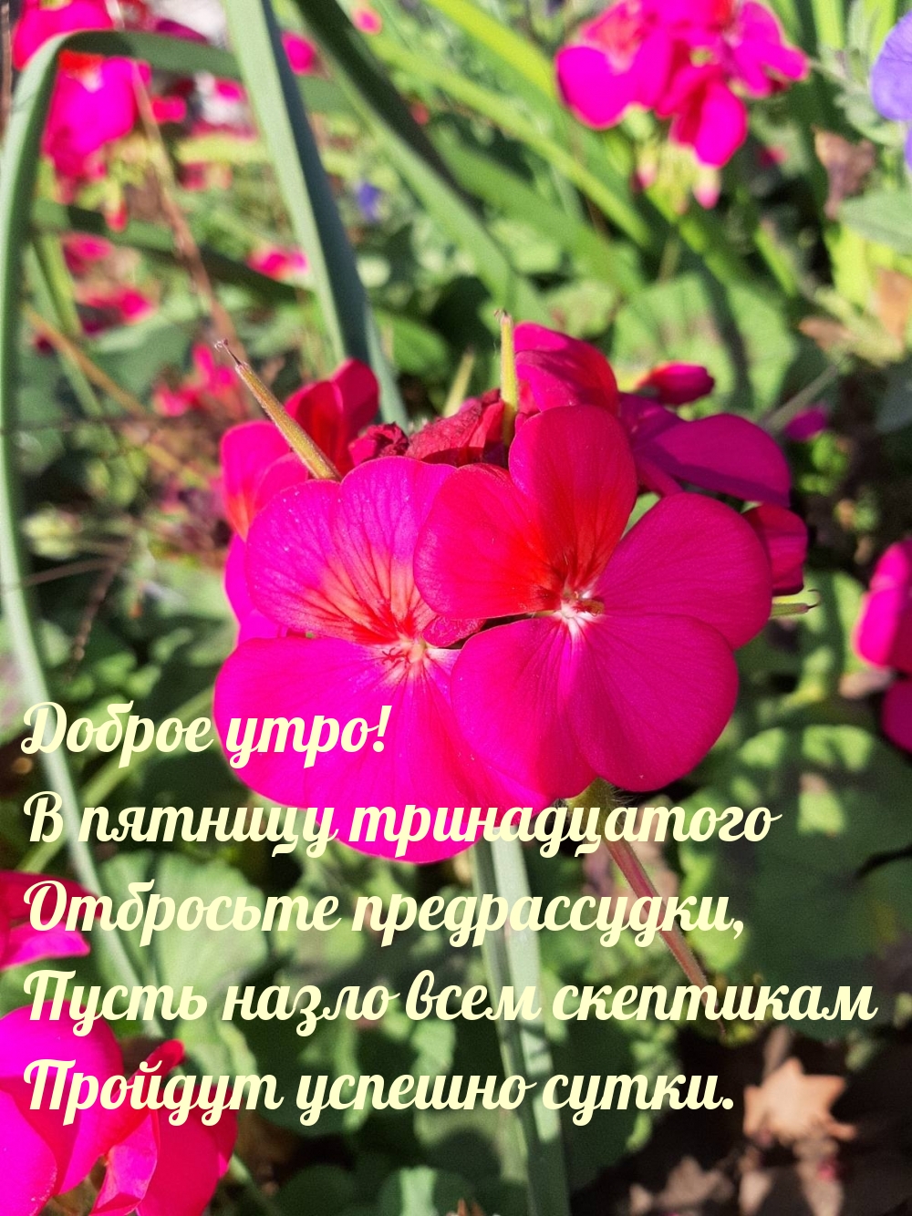 Доброе утро! В пятницу тринадцатого отбросьте предрассудки