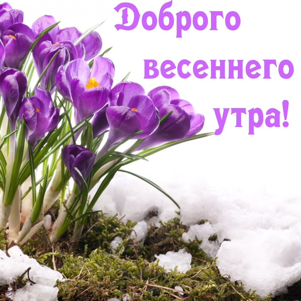 Доброго весеннего утра!