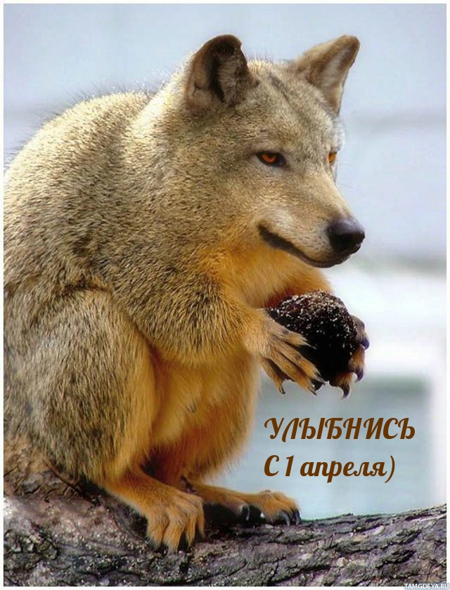 УЛЫБНИСЬ С 1 апреля)