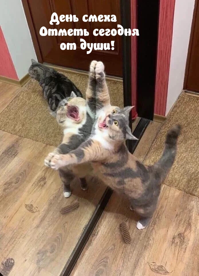 День смеха отметь сегодня от души!