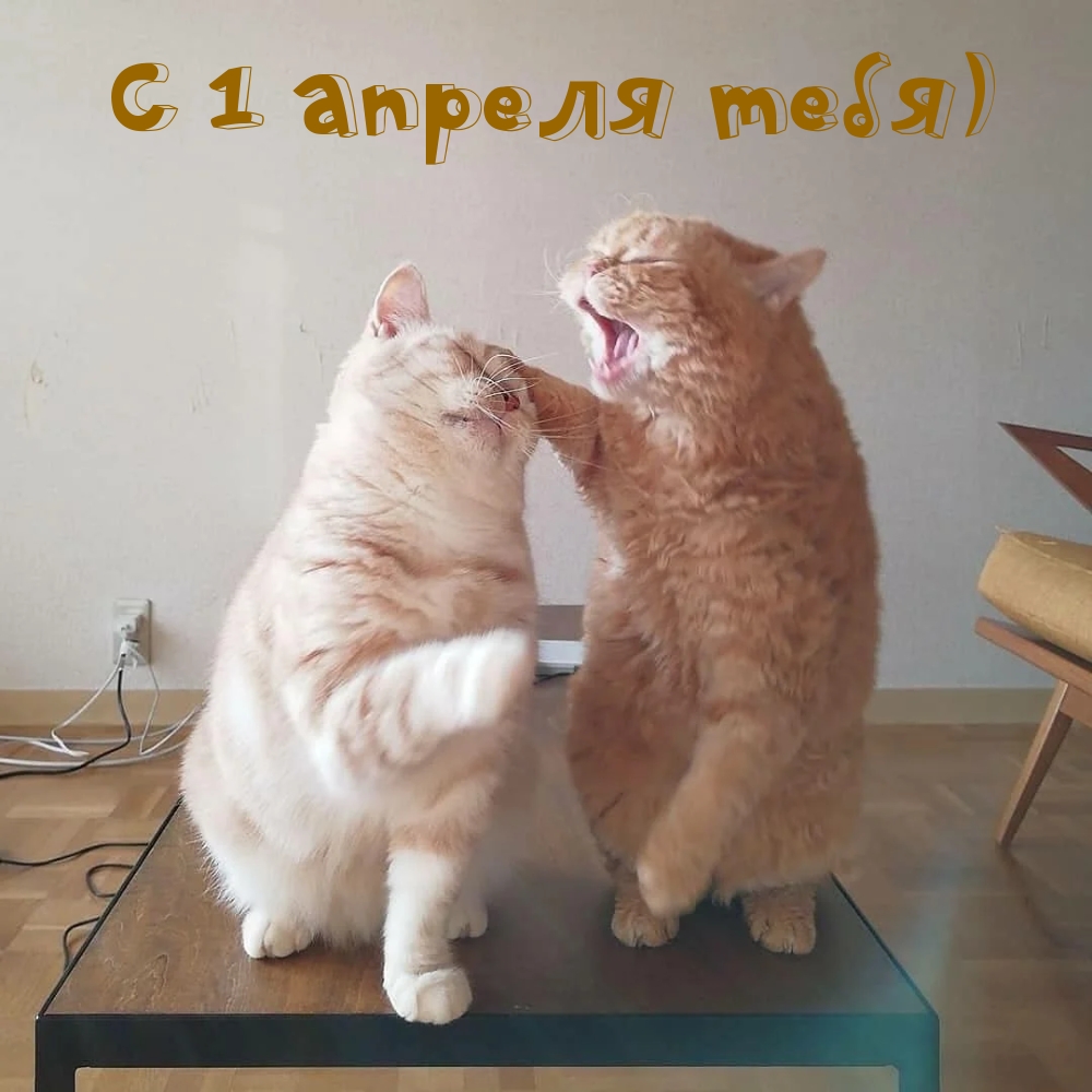 С 1 апреля тебя)