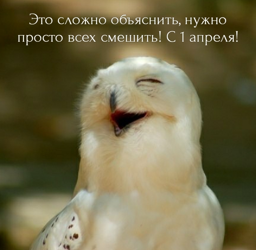 Это сложно объяснить, нужно просто всех смешить! С 1 апреля!
