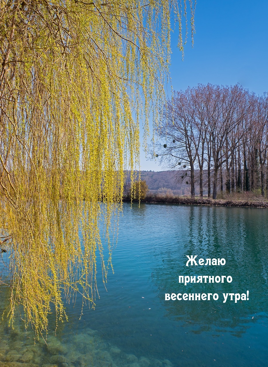 Желаю приятного весеннего утра!