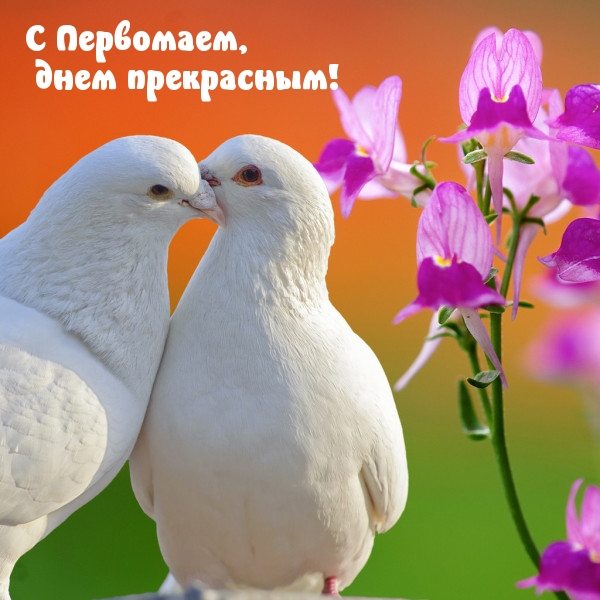 С Первомаем, днем прекрасным!