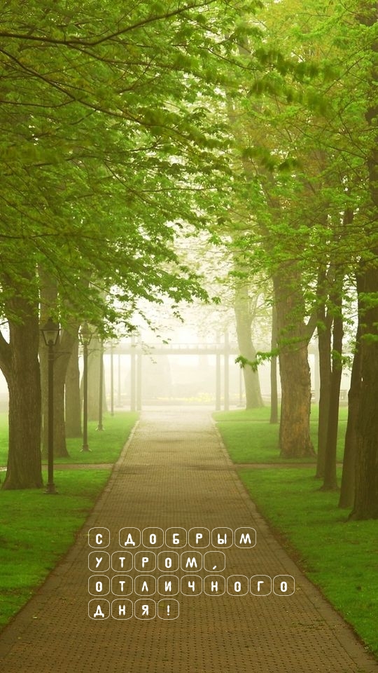Картинки с надписями.  С добрым утром, отличного дня!.