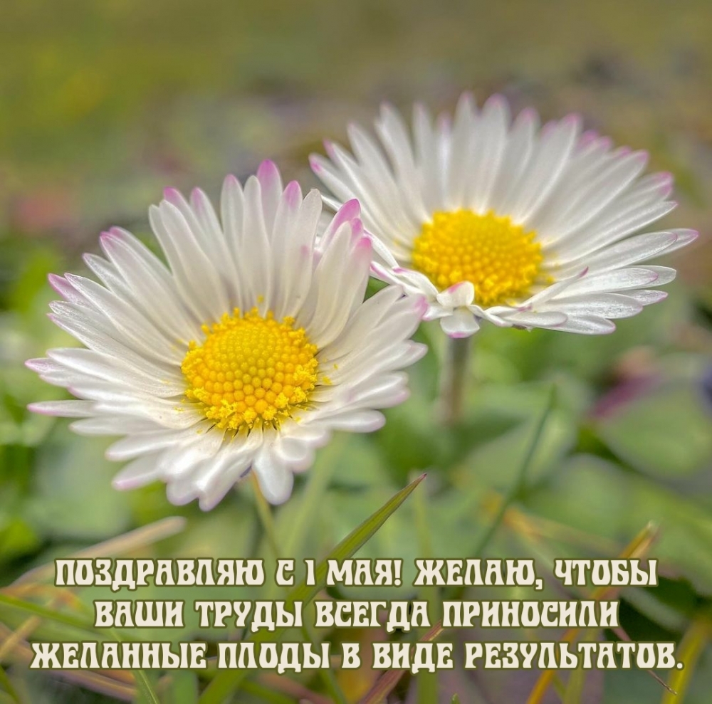 Поздравляю с 1 мая!