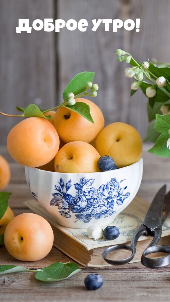 Доброе утро!