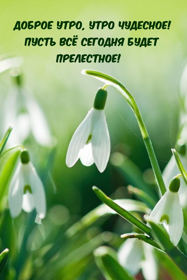 Доброе утро, утро чудесное!