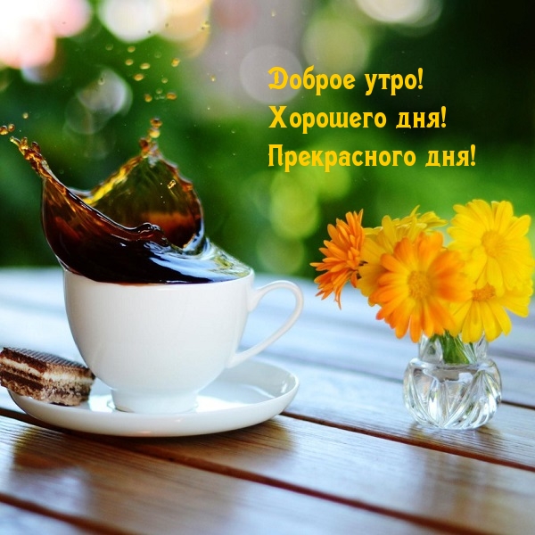 Доброе утро! Хорошего дня! Прекрасного дня!