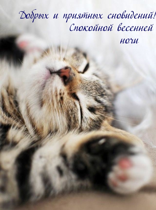 Добрых и приятных весенних сновидений!