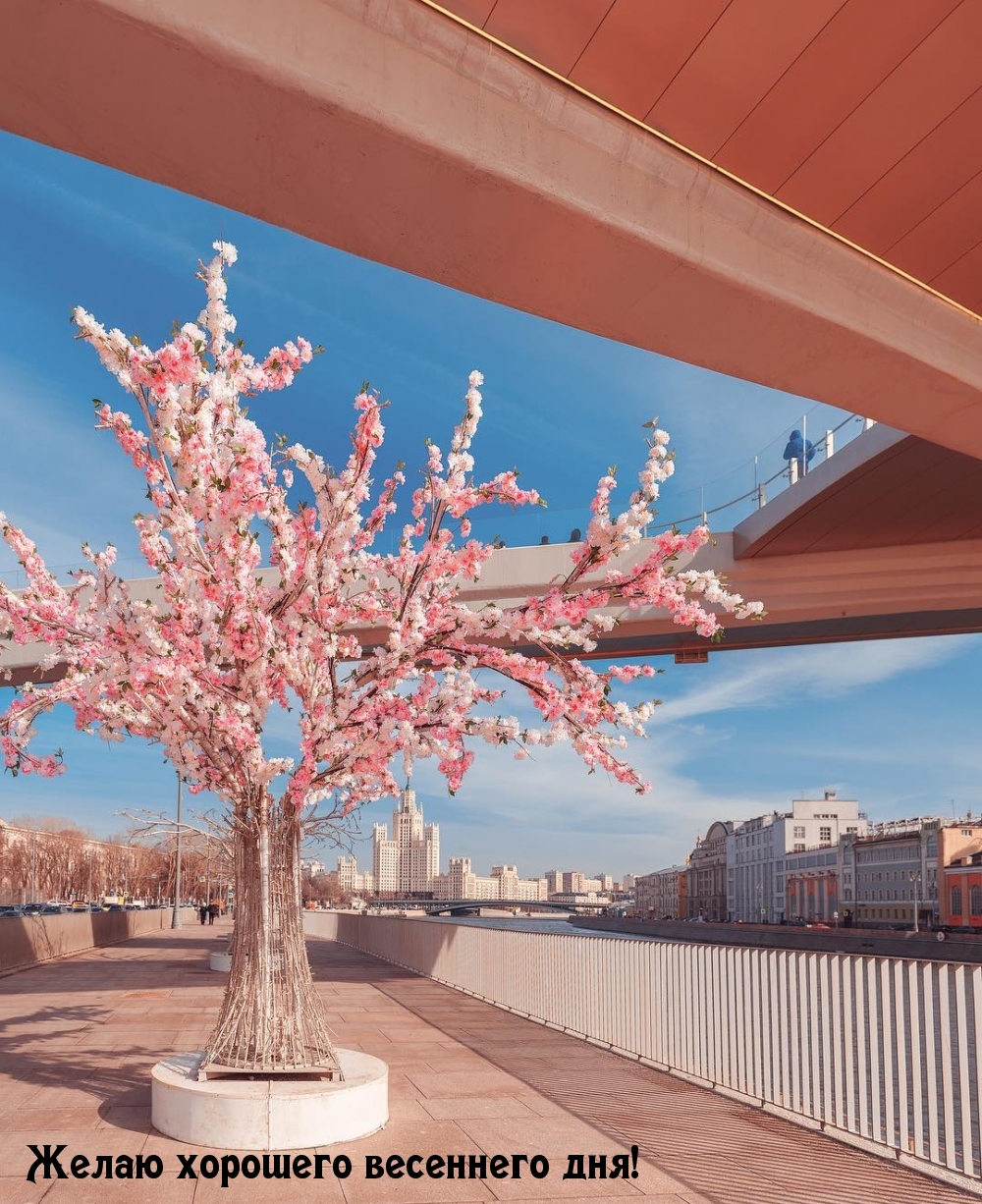 Желаю хорошего весеннего дня!