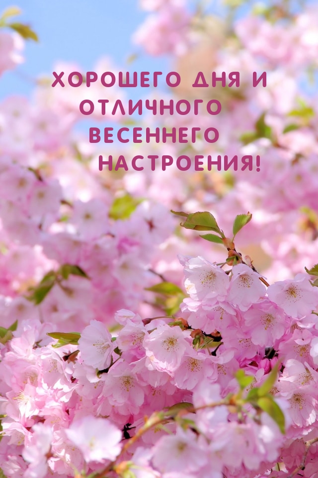 Хорошего дня и отличного весеннего настроения!