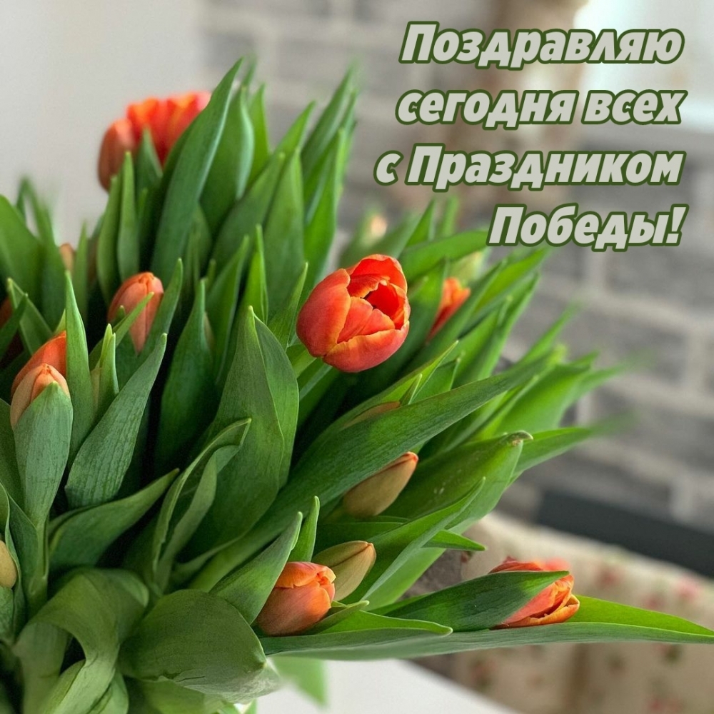 Поздравляю сегодня всех с Праздником Победы!