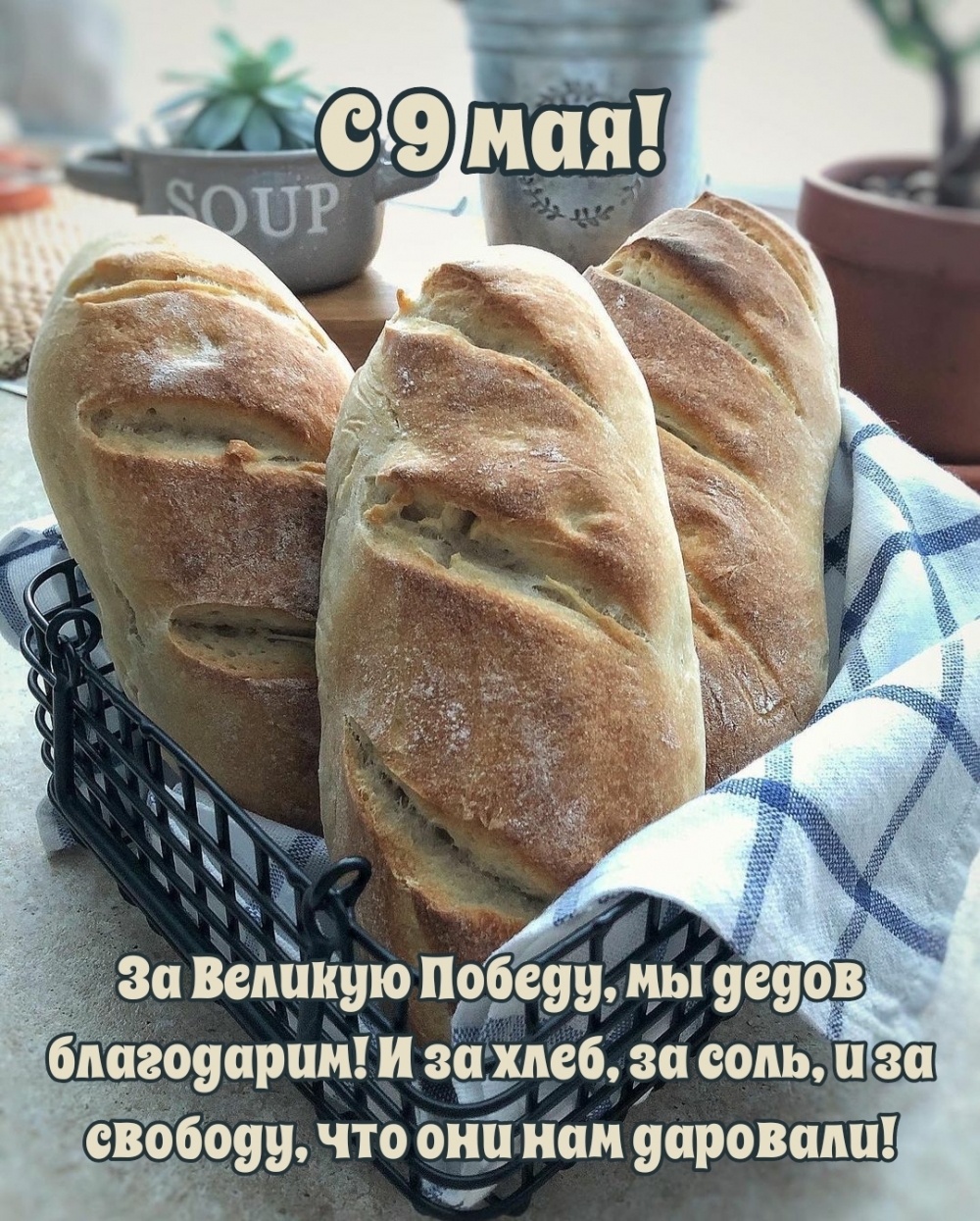 За Великую Победу, мы дедов благодарим!