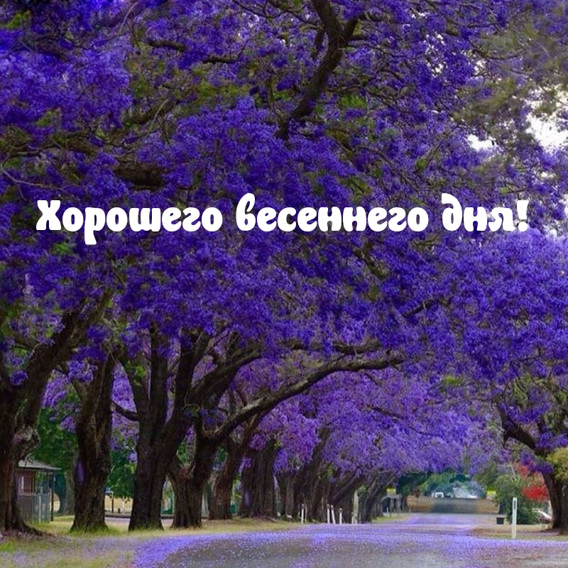 Хорошего весеннего дня!