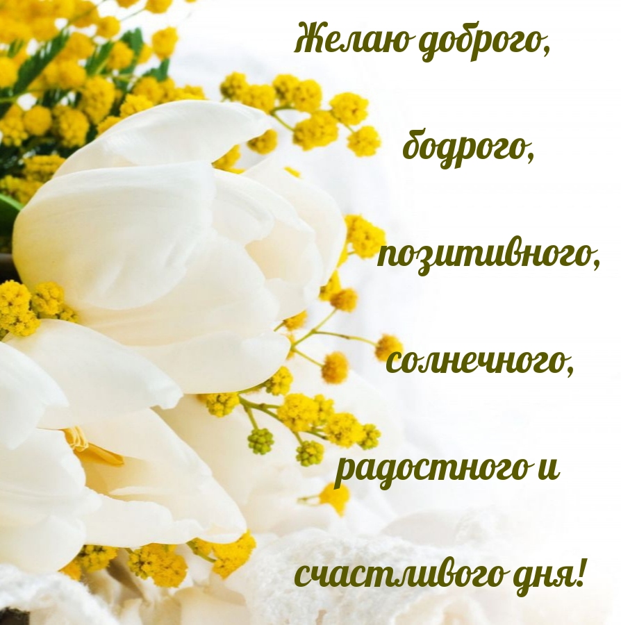 Желаю позитивного дня!