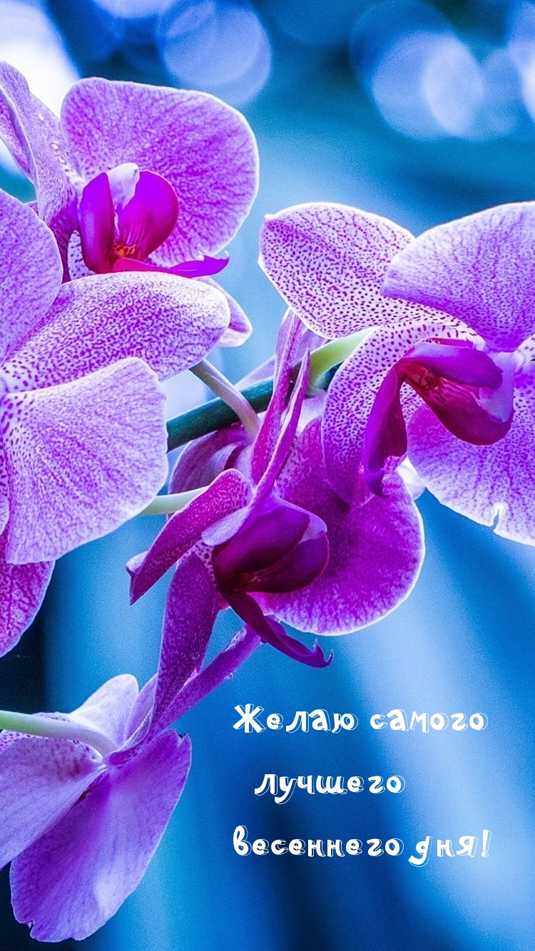 Желаю самого лучшего весеннего дня!