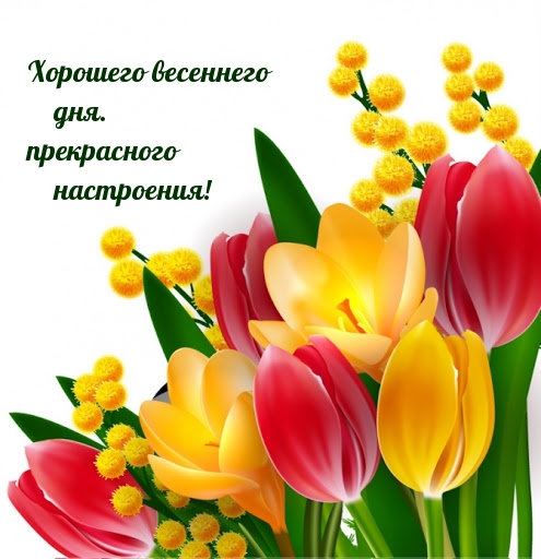 Хорошего весеннего дня. Прекрасного настроения!