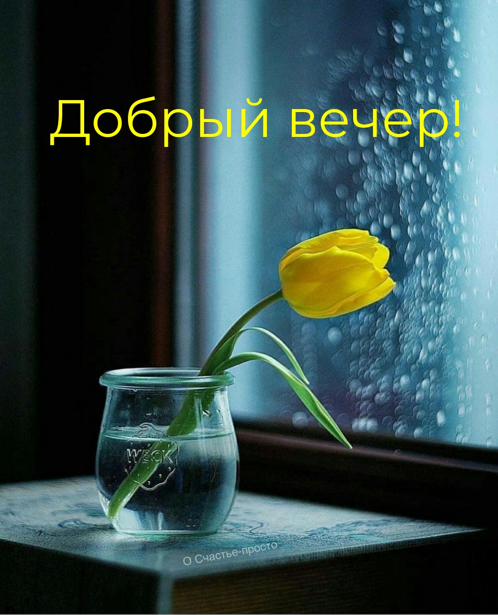 Добрый вечер!