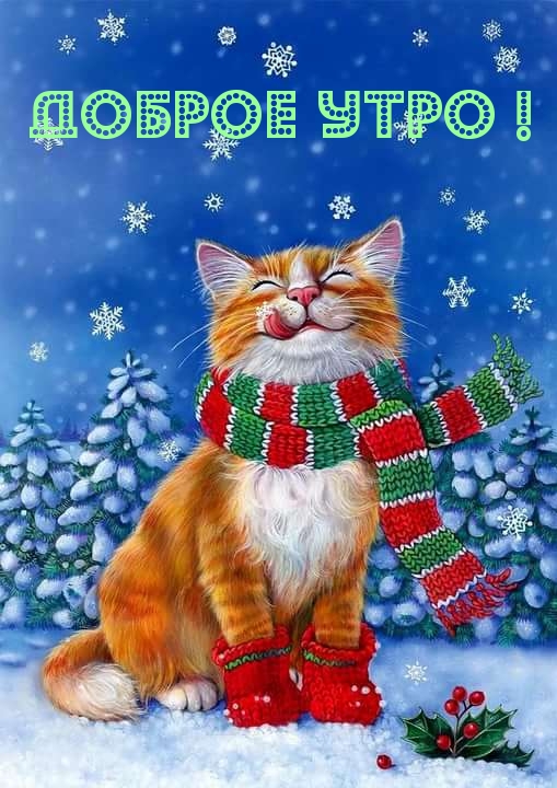 Доброе утро!