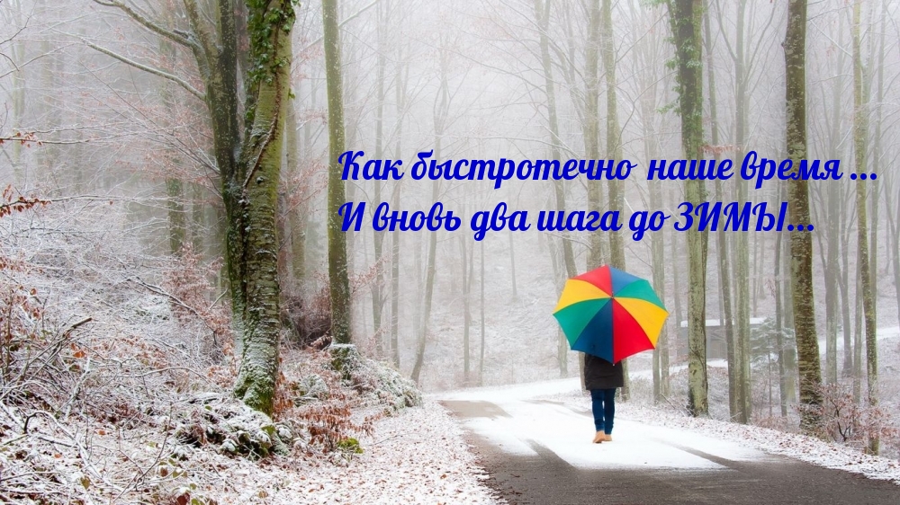 Как быстротечно наше время … И вновь два шага до ЗИМЫ…