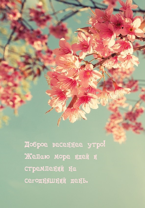 Доброе весеннее утро! Желаю море идей и стремлений