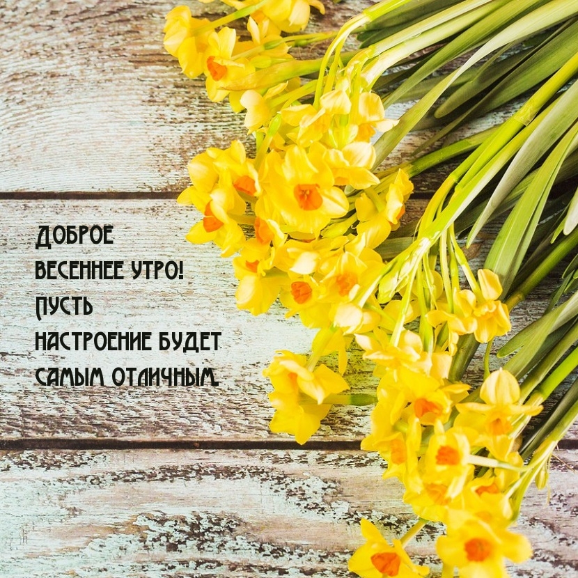 Доброе весеннее утро! Пусть настроение будет самым отличным