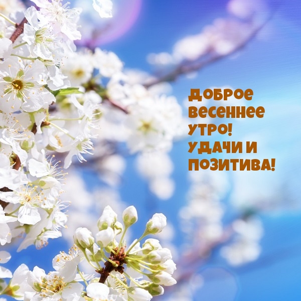 Доброе весеннее утро! Удачи и позитива!