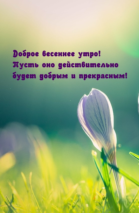 Доброе весеннее утро! Пусть оно действительно будет…