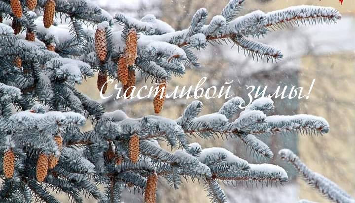 Счастливой зимы!