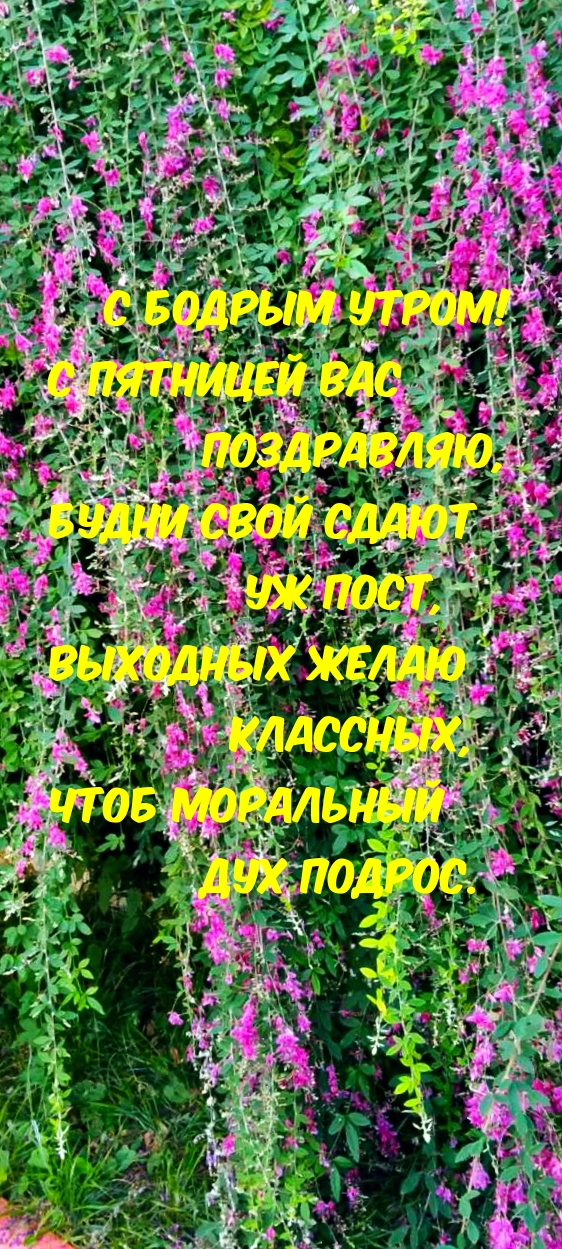 С бодрым утром! С пятницей вас
