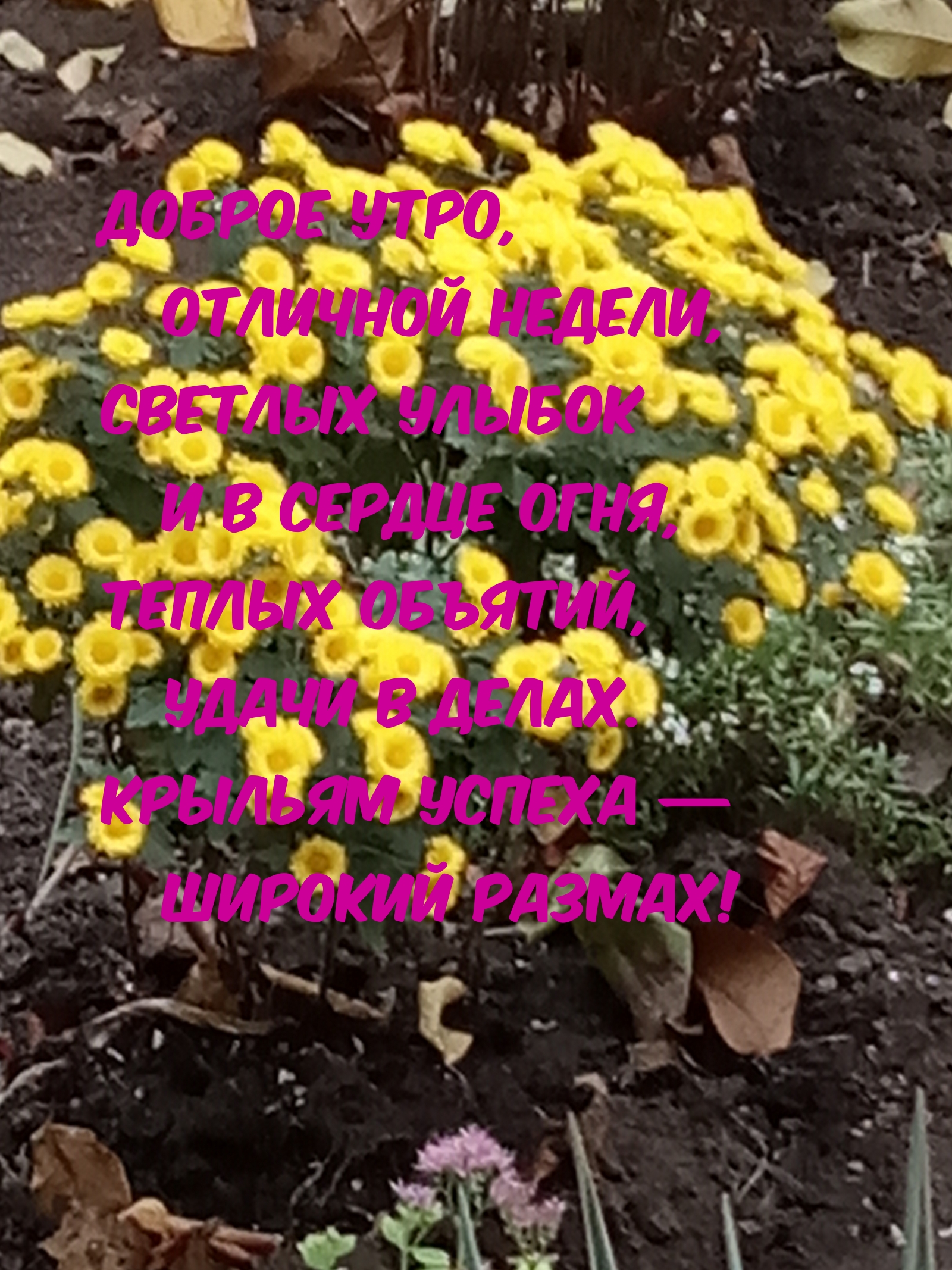 Доброе утро, отличной недели