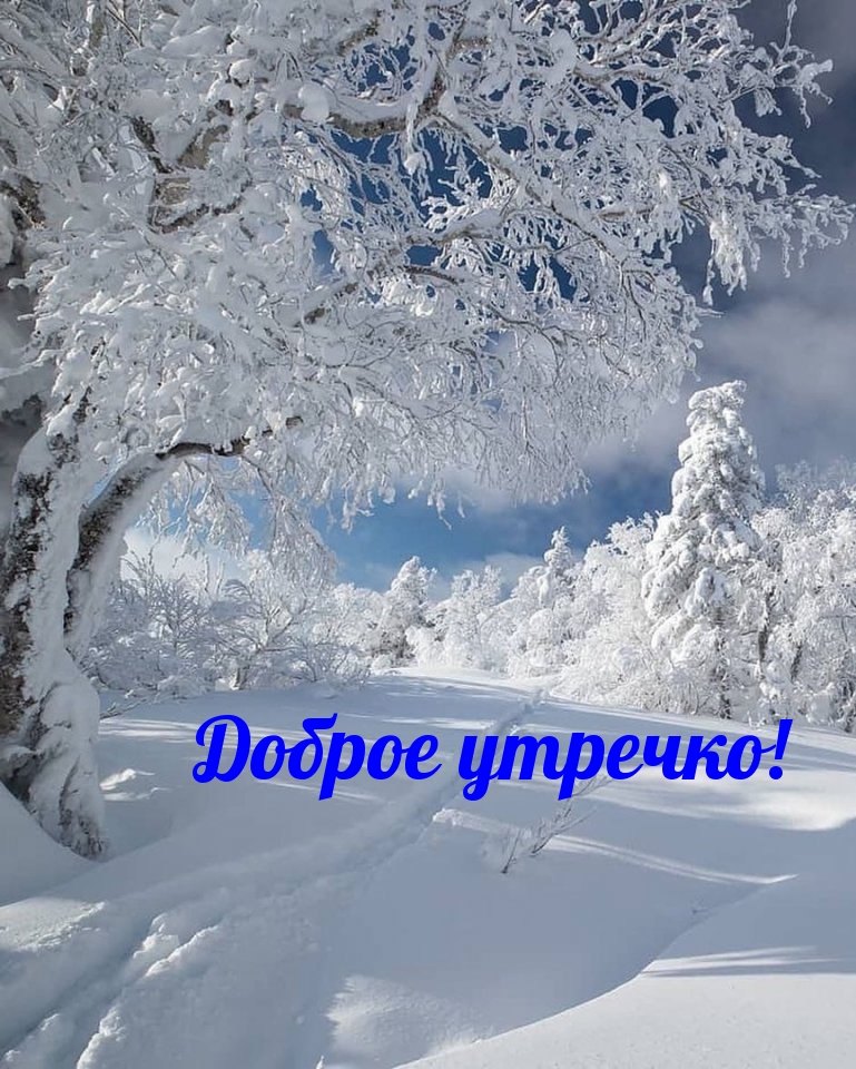 Доброе утречко!