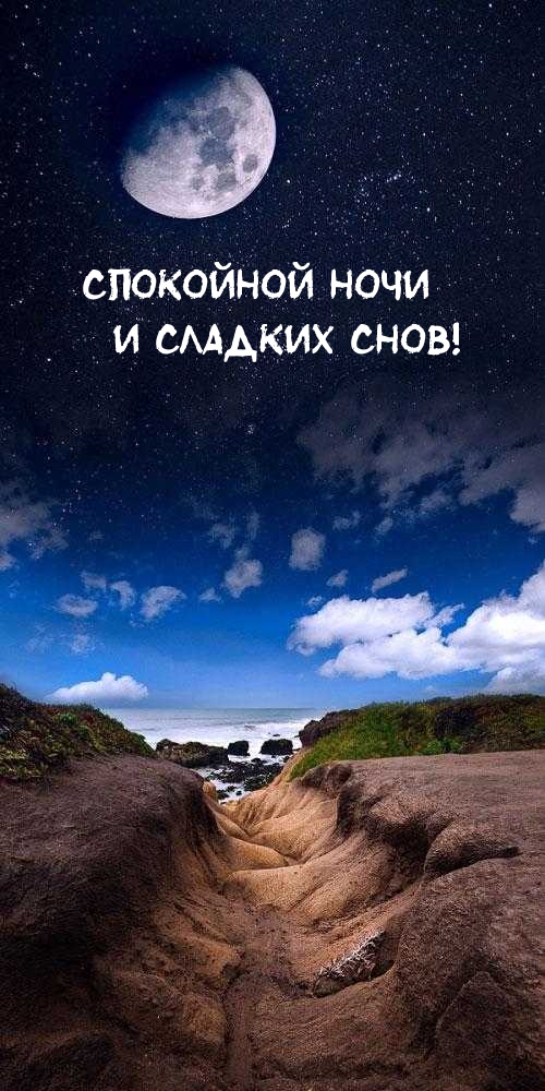 Спокойной ночи и сладких снов!