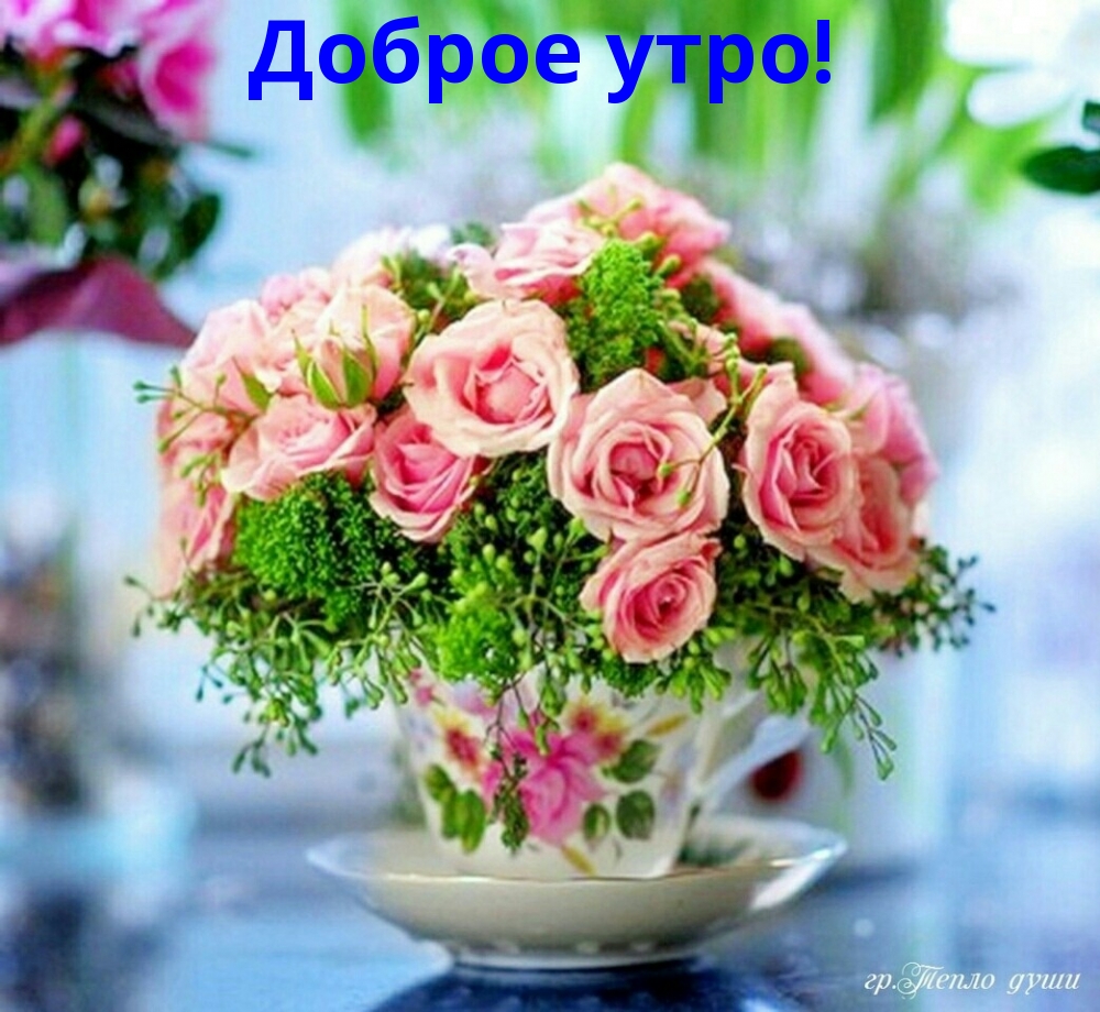 Доброе утро!