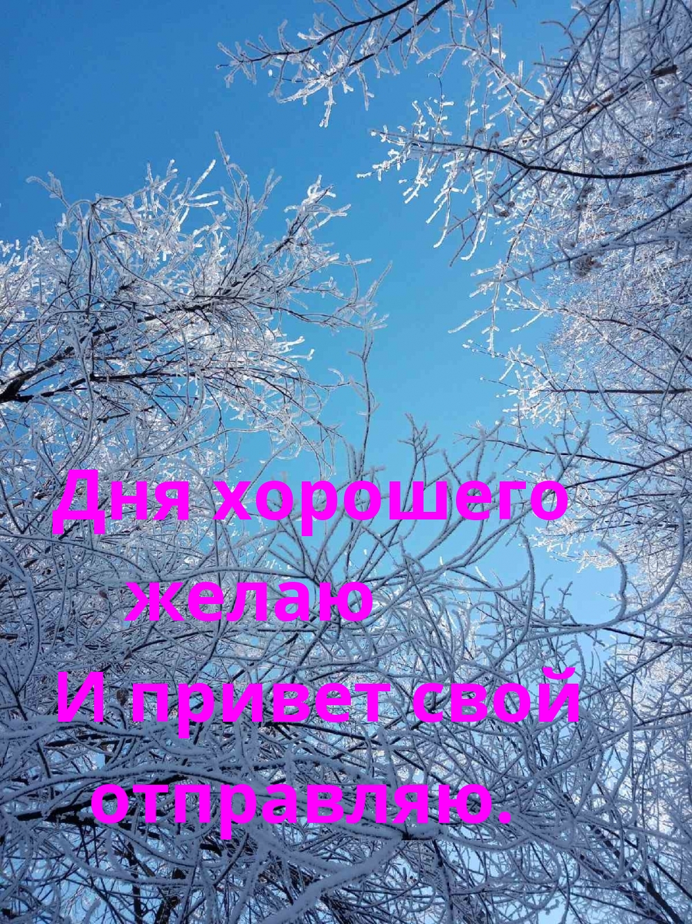 Дня хорошего желаю И привет свой отправляю.