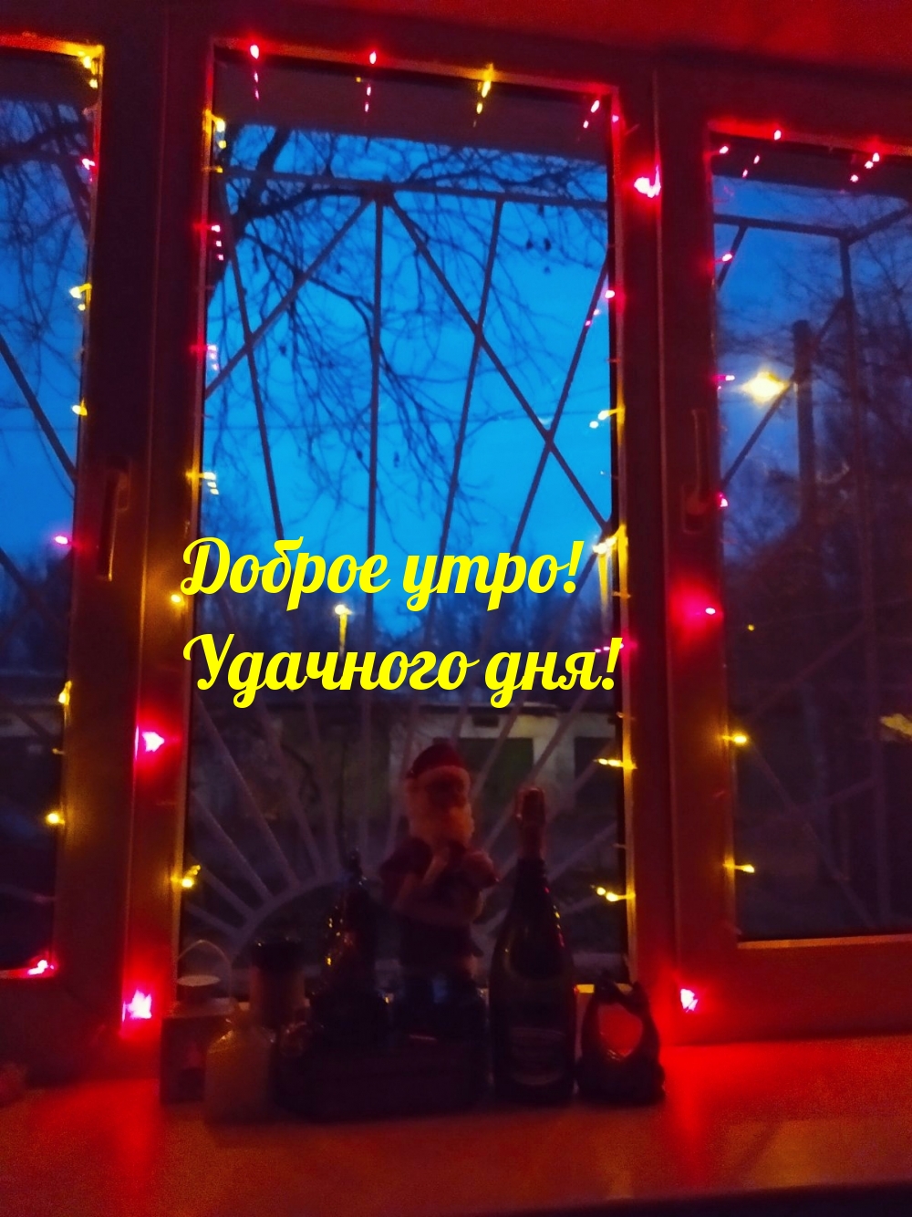 Доброе утро! Удачного дня!