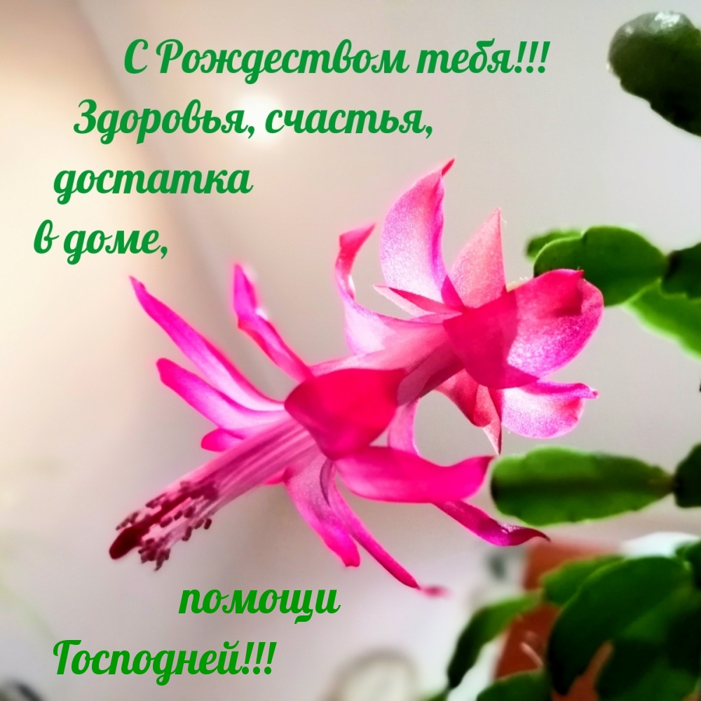 С Рождеством тебя!!! Помощи Господней!