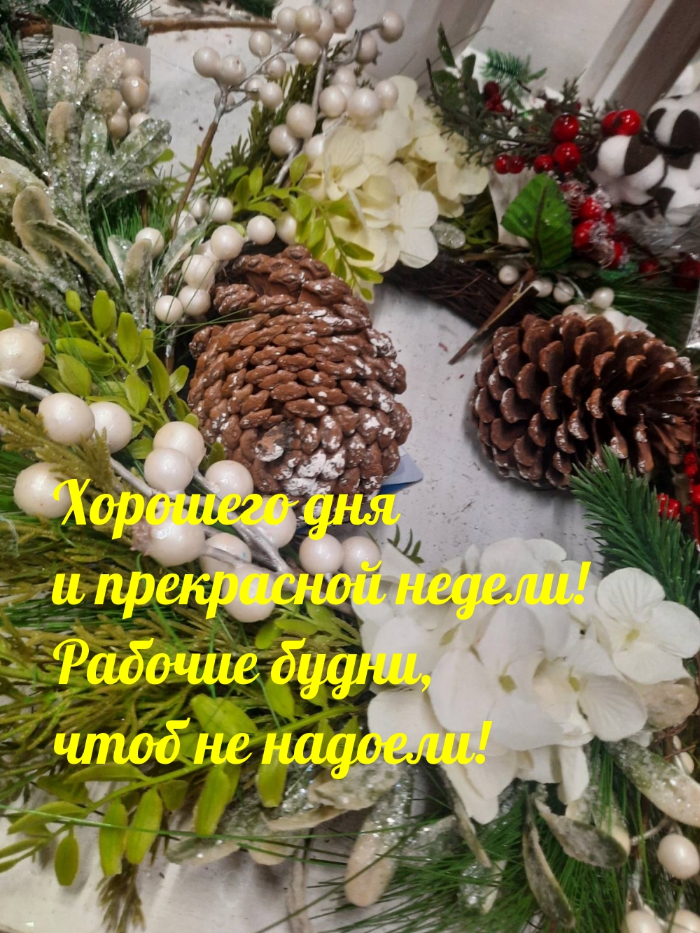 Хорошего дня! прекрасной недели!