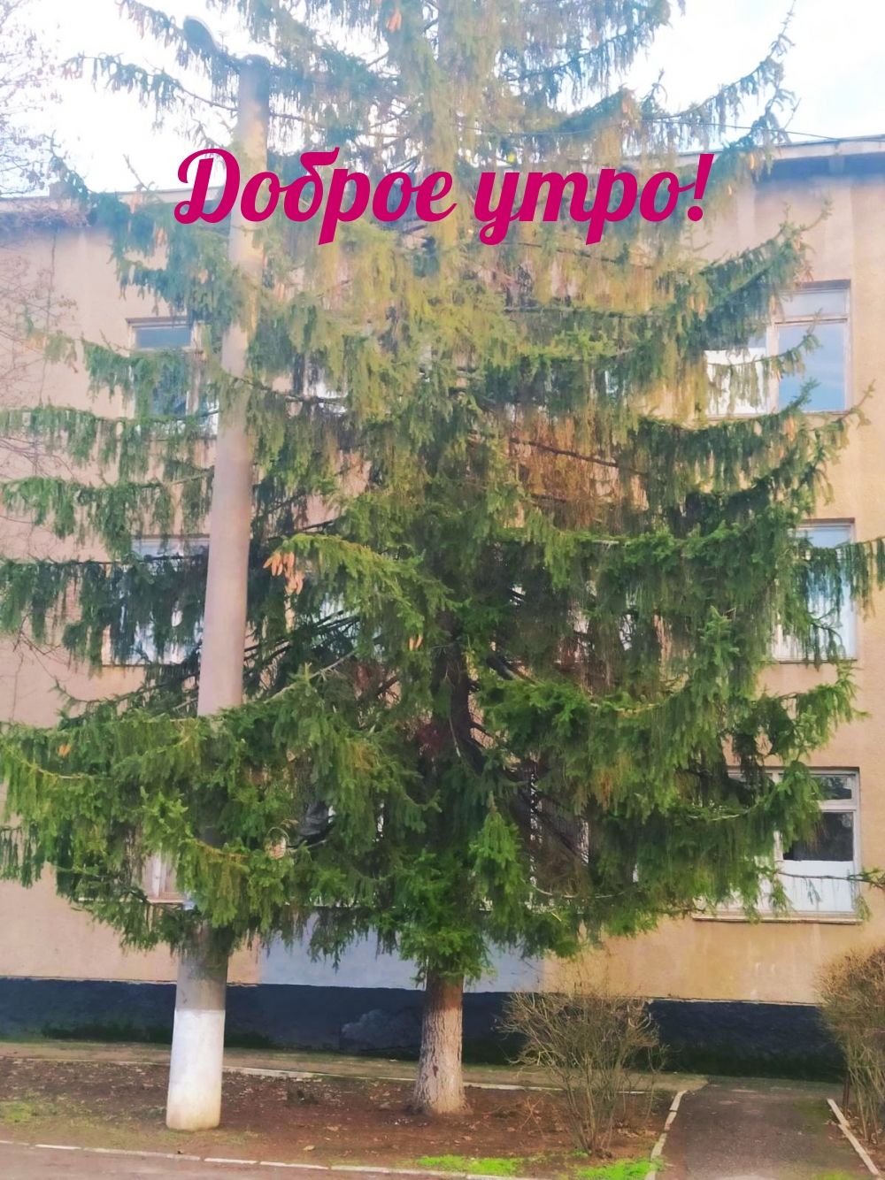 Доброе утро!