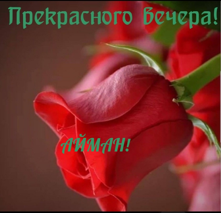 Прекрасного вечера Айман!