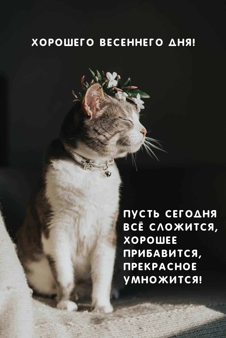 Хорошего весеннего дня! Пусть сегодня всё сложится