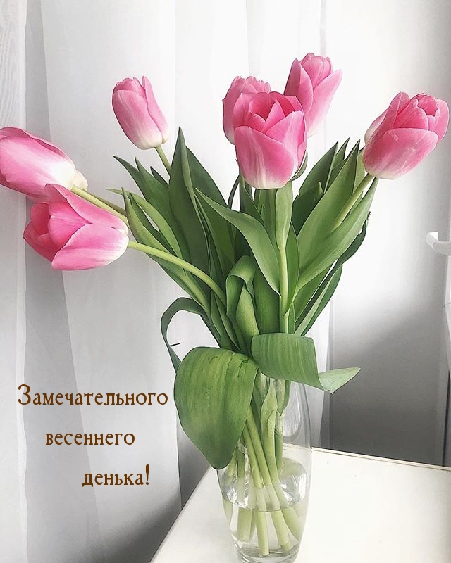 Замечательного весеннего денька!